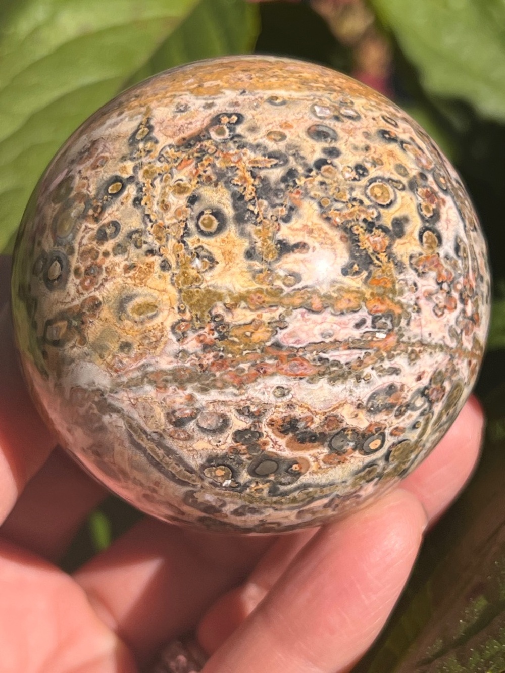 Leopard (1) skin Jasper sphere | Crystal
